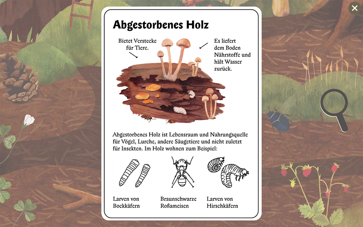 entdeckermaus_05